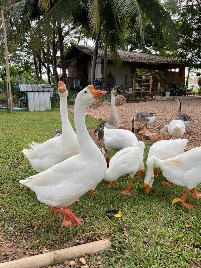 Suanglangna Leilighet Phrae Eksteriør bilde